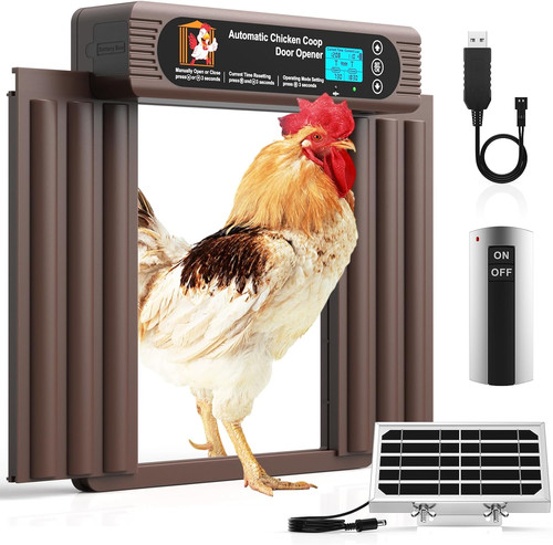 Automatic chicken coop - chicken,
